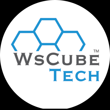 Ws Cube Tech